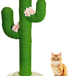 ClawCactus - Cat Claw Cactus