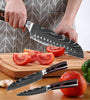 SamuraiChef - Pro Chef Knife Set