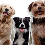 PillowPix - Custom Pet Pillow