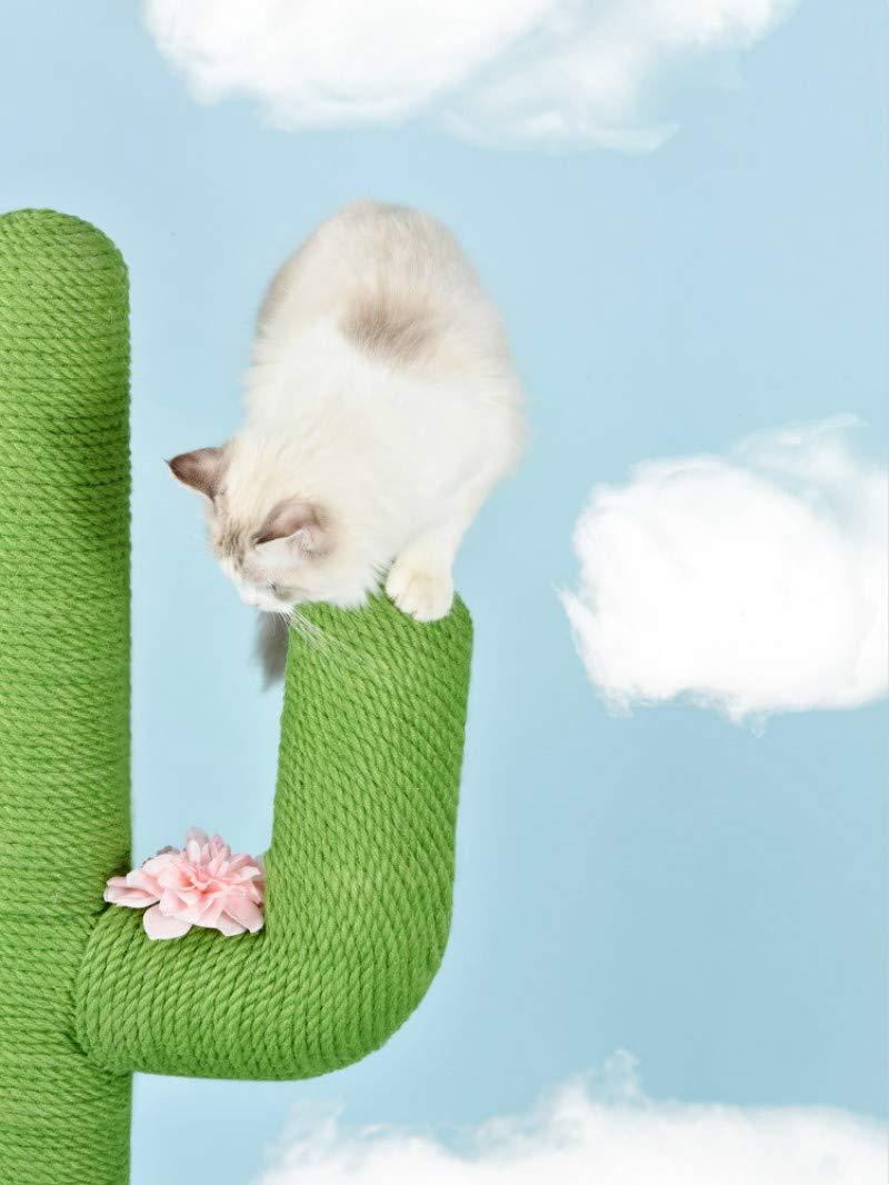 ClawCactus - Cat Claw Cactus