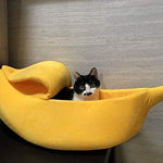 KittyPeel - Pet Banana Hideaway