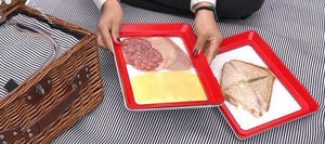 Save N Store- Food Preservation Tray